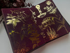 The Poisoner Hand-bound Rebind